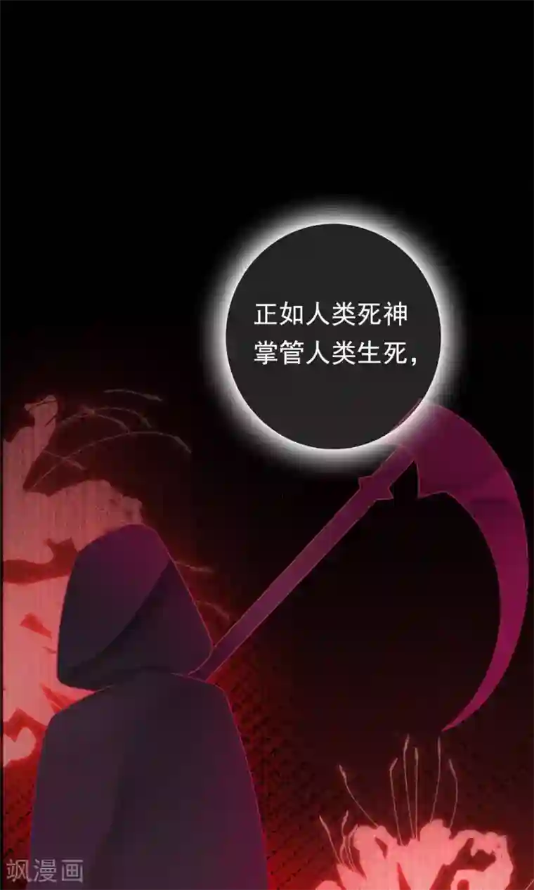 我的猫仙大人第19话 动物们的生死归我管