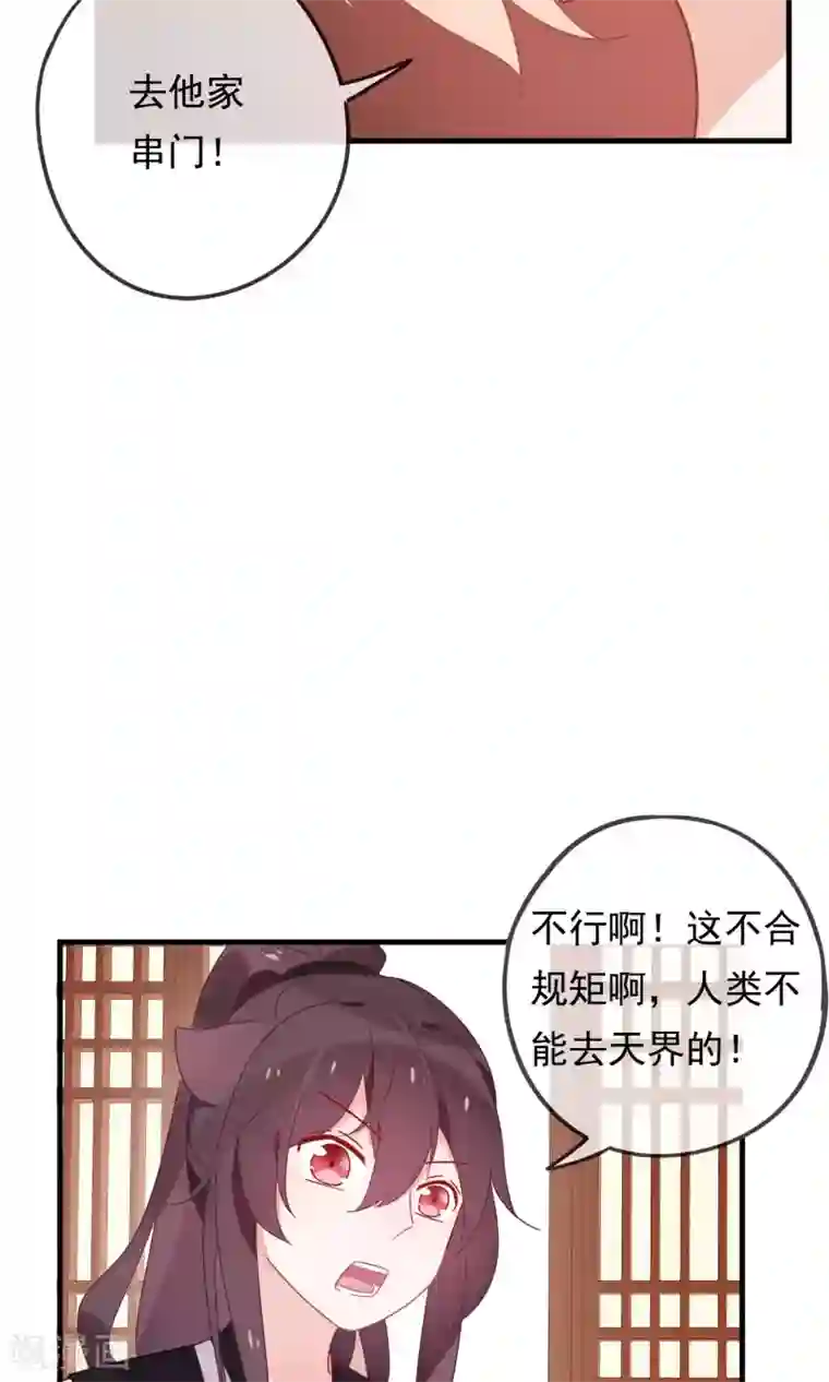 我的猫仙大人第20话 去死神家里串门