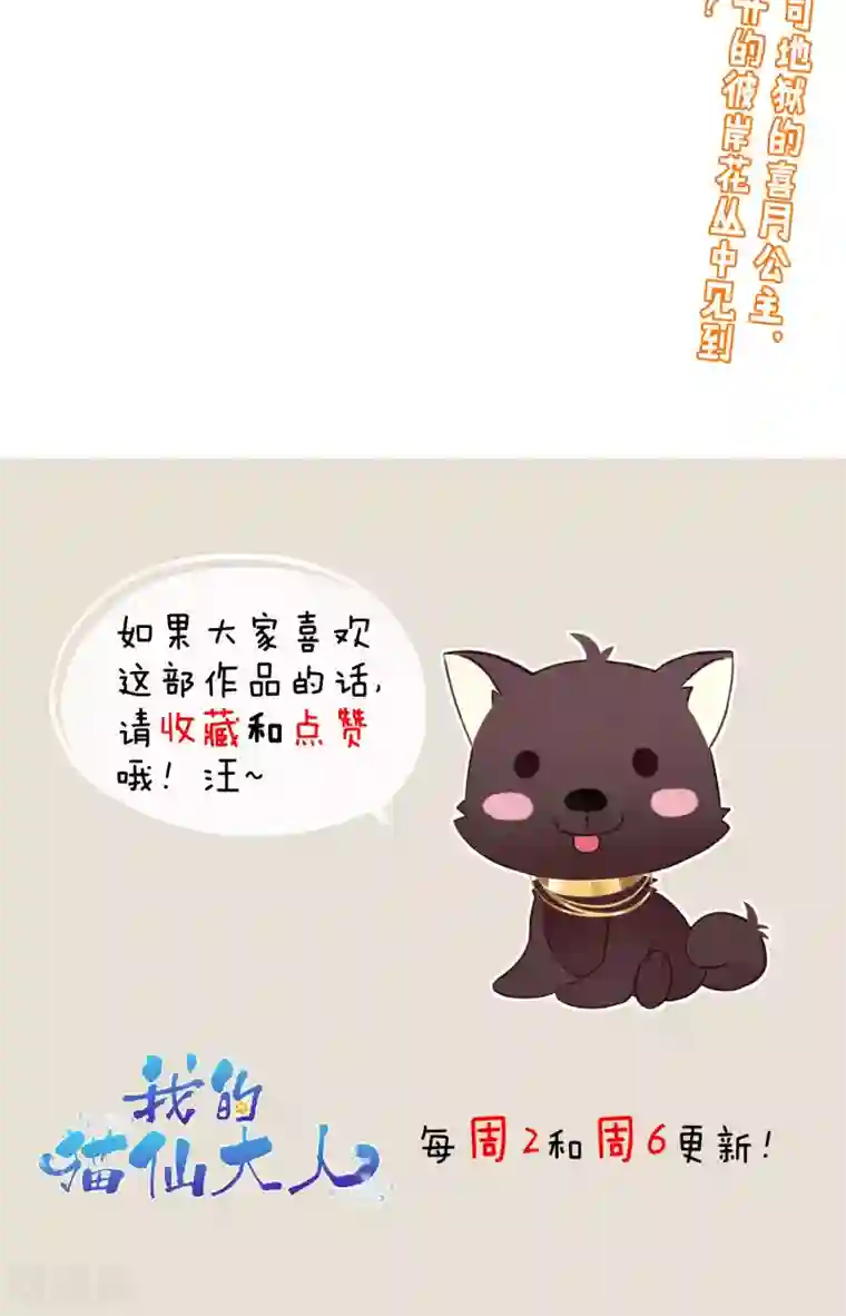 我的猫仙大人第21话 黑白无常