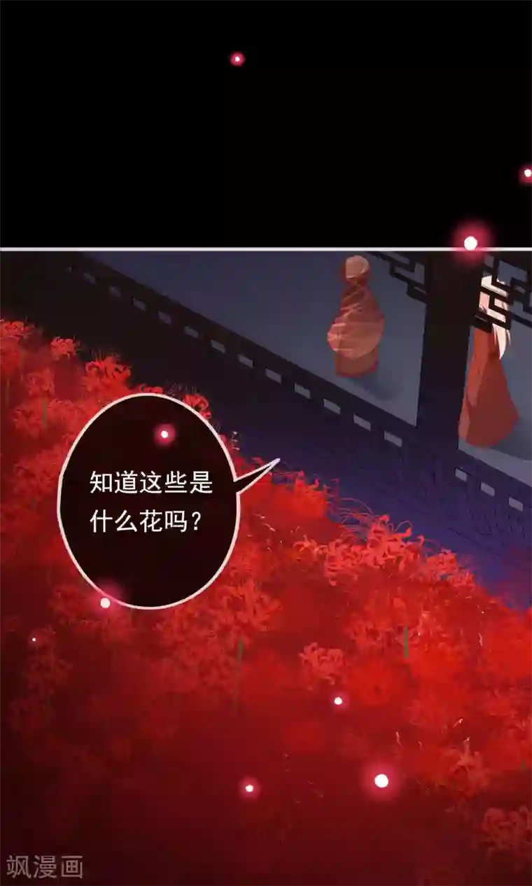 我的猫仙大人第22话 送你去轮回投胎！