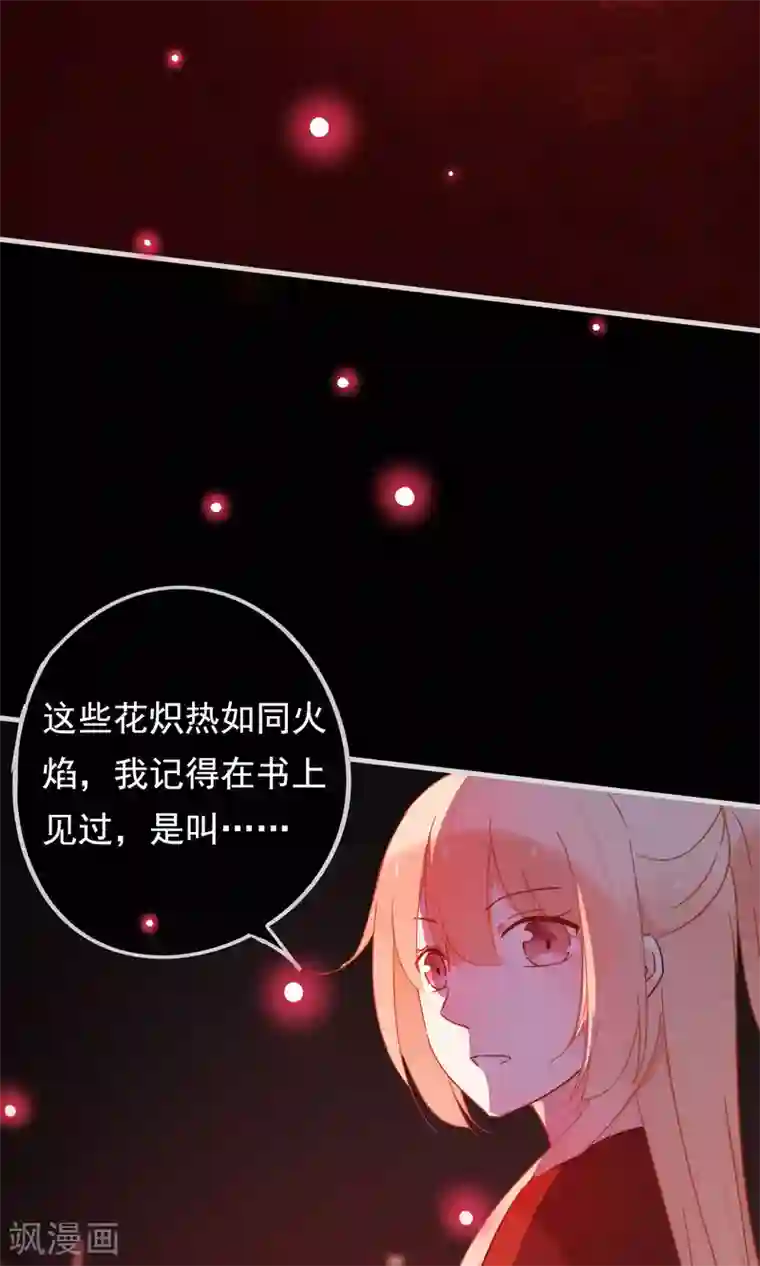 我的猫仙大人第22话 送你去轮回投胎！