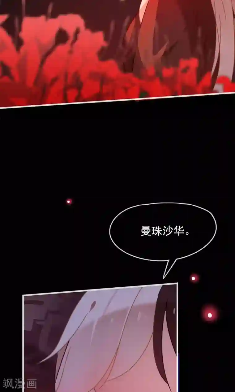 我的猫仙大人第22话 送你去轮回投胎！