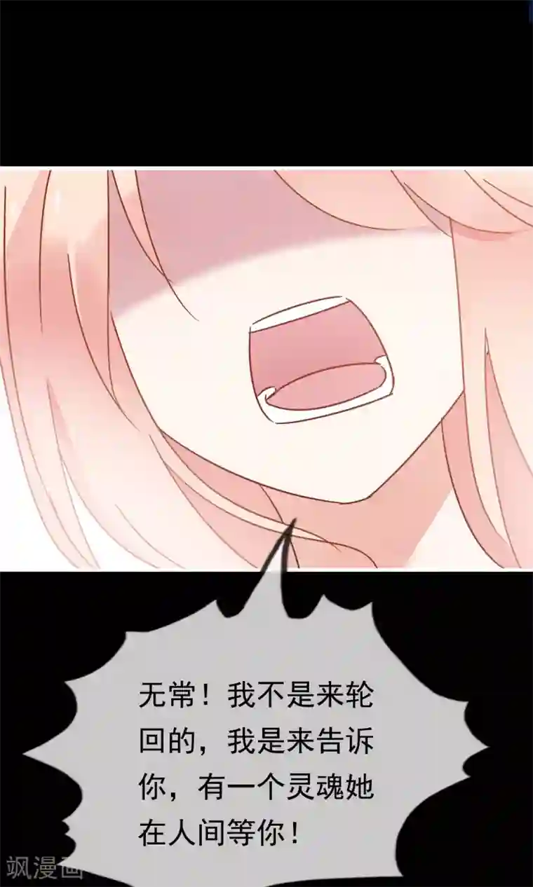 我的猫仙大人第23话 可怜的兰草