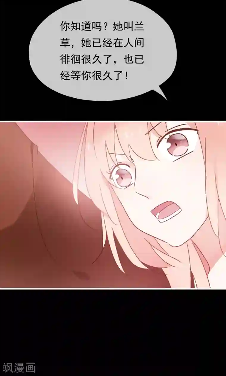 我的猫仙大人第23话 可怜的兰草