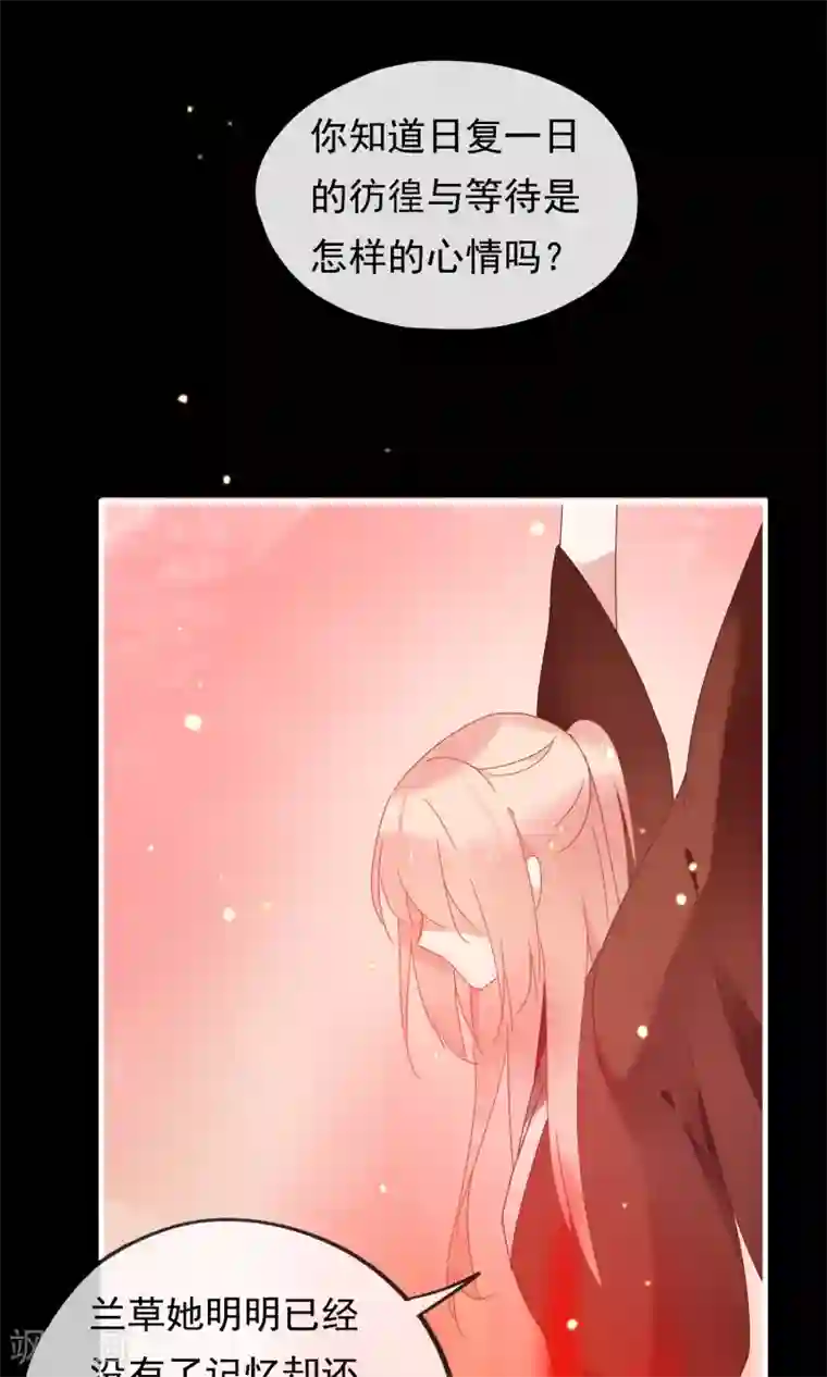 我的猫仙大人第23话 可怜的兰草