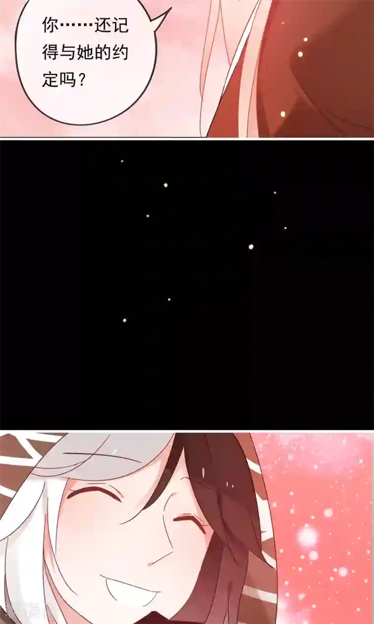 我的猫仙大人第23话 可怜的兰草