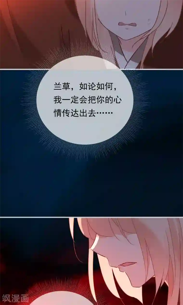 我的猫仙大人第23话 可怜的兰草