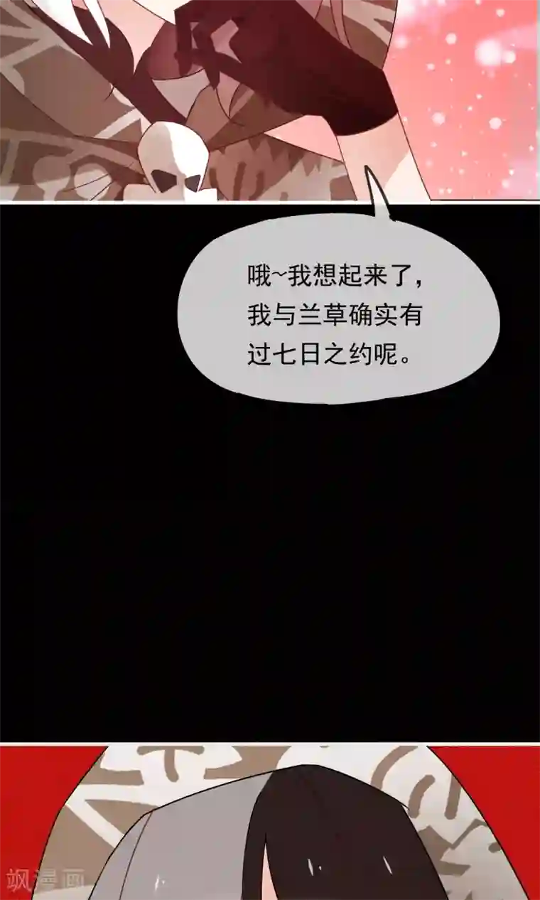 我的猫仙大人第23话 可怜的兰草