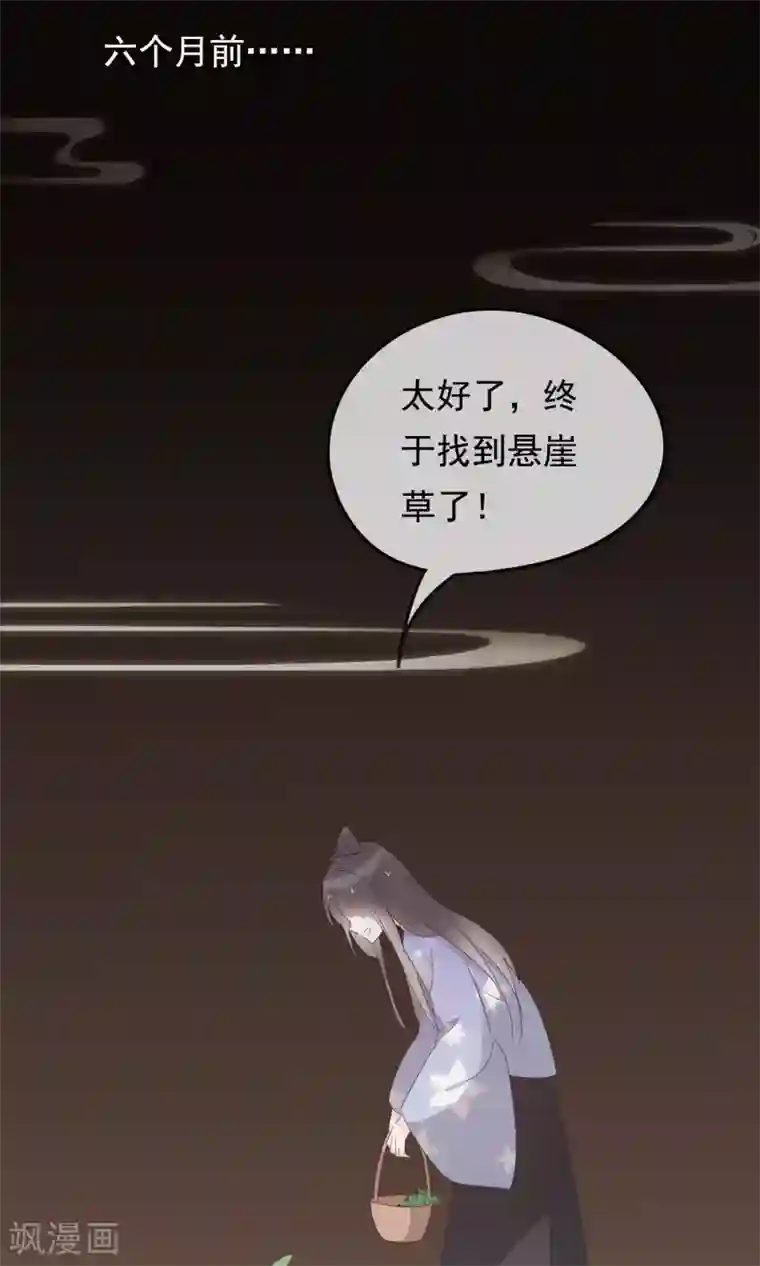 我的猫仙大人第23话 可怜的兰草