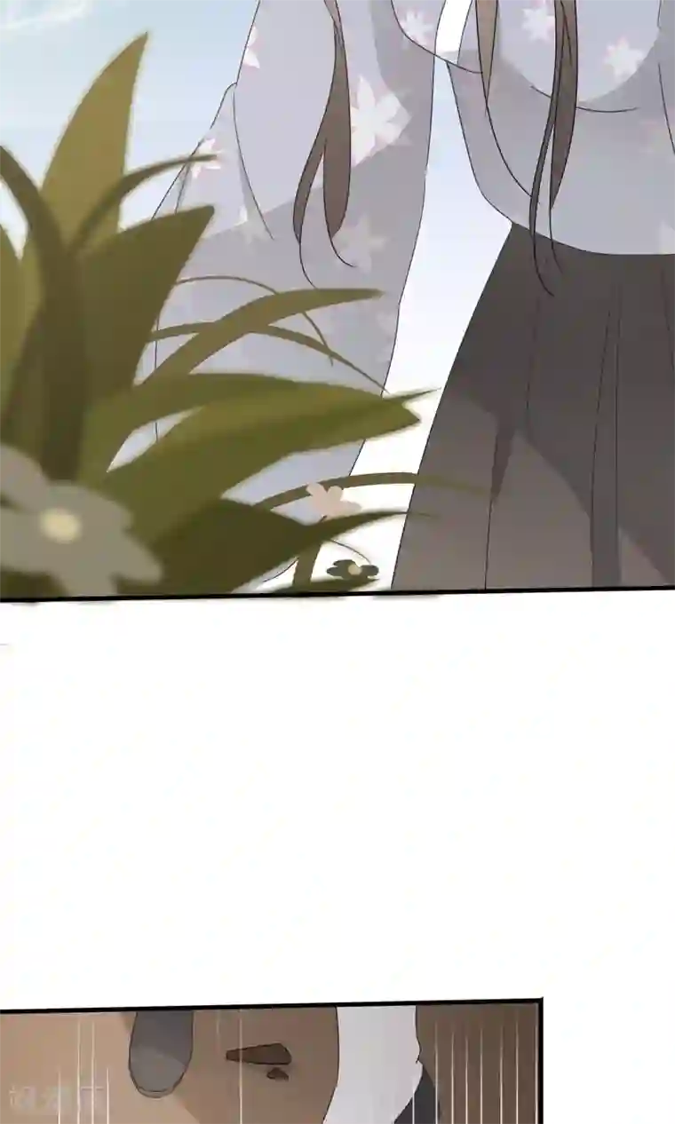 我的猫仙大人第23话 可怜的兰草