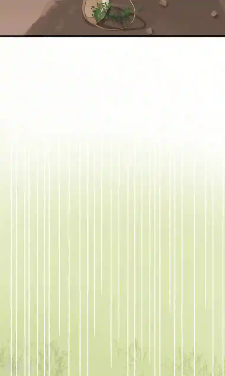 我的猫仙大人第23话 可怜的兰草