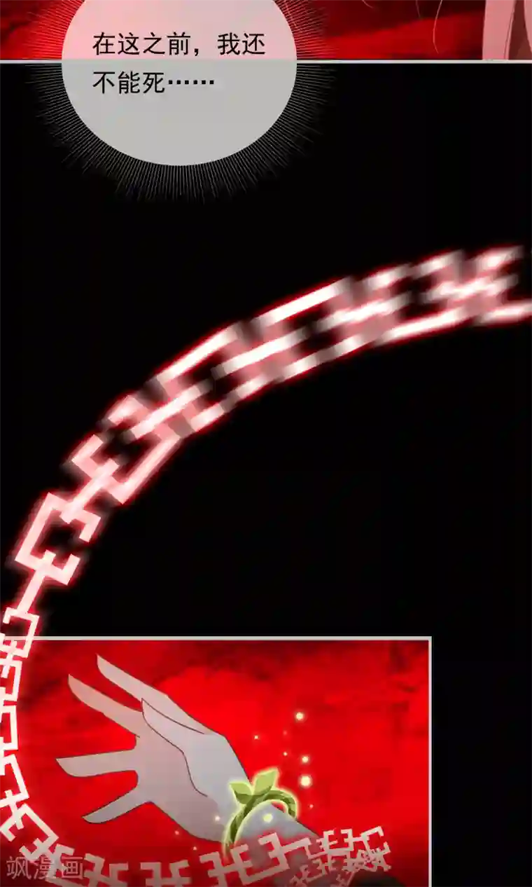 我的猫仙大人第23话 可怜的兰草