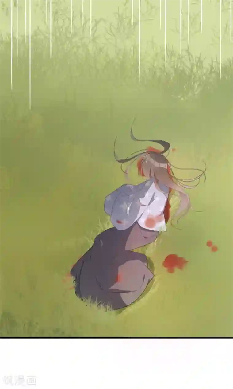 我的猫仙大人第23话 可怜的兰草