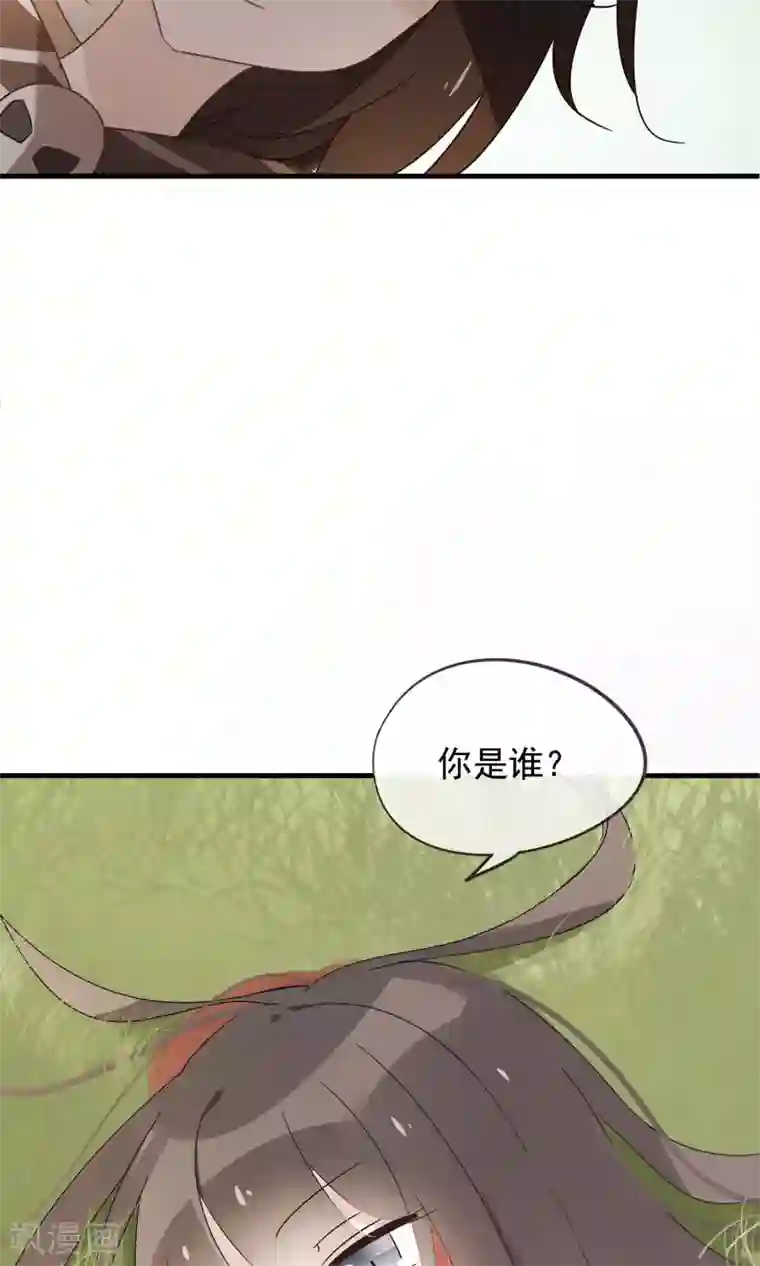 我的猫仙大人第23话 可怜的兰草