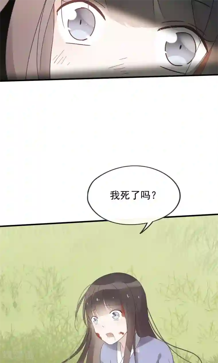 我的猫仙大人第23话 可怜的兰草