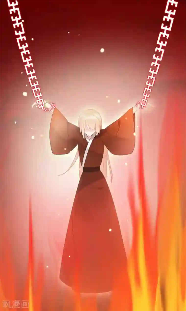 我的猫仙大人第23话 可怜的兰草