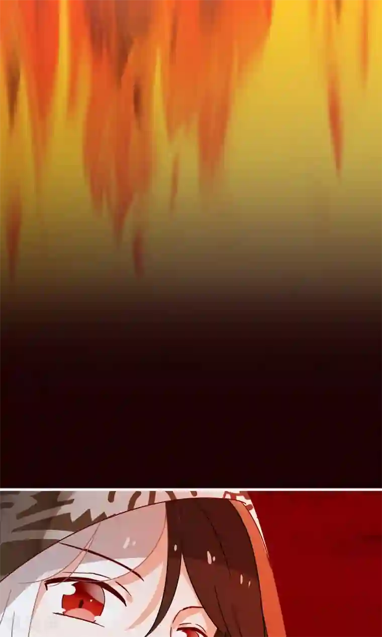 我的猫仙大人第23话 可怜的兰草