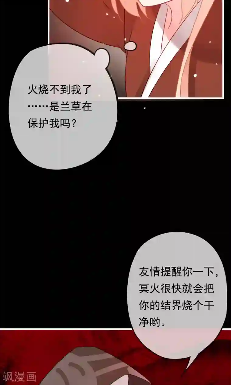 我的猫仙大人第23话 可怜的兰草