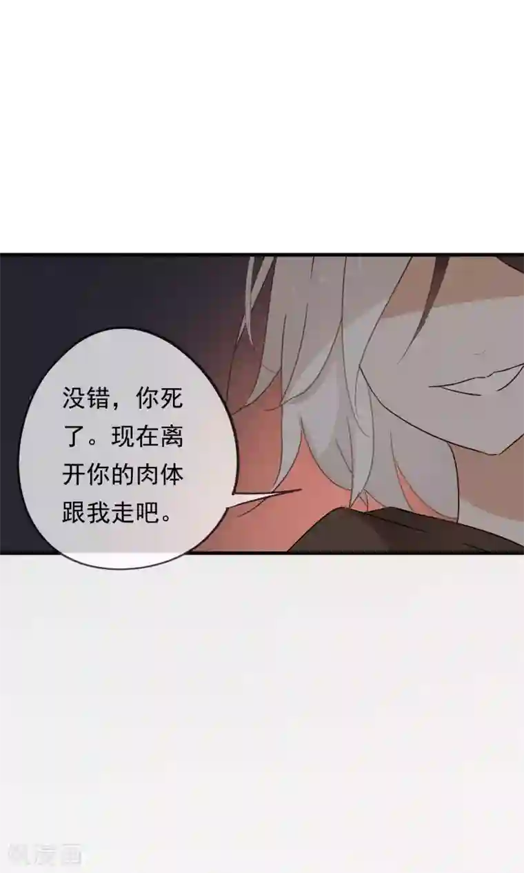 我的猫仙大人第24话 好久不见，猫大人