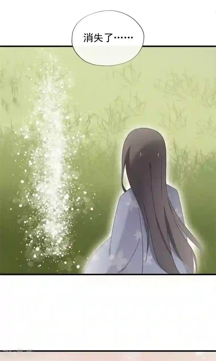 我的猫仙大人第24话 好久不见，猫大人