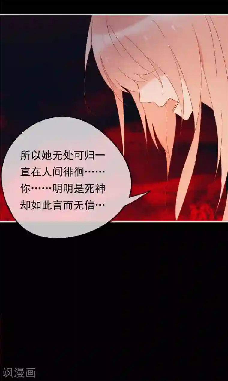 我的猫仙大人第24话 好久不见，猫大人