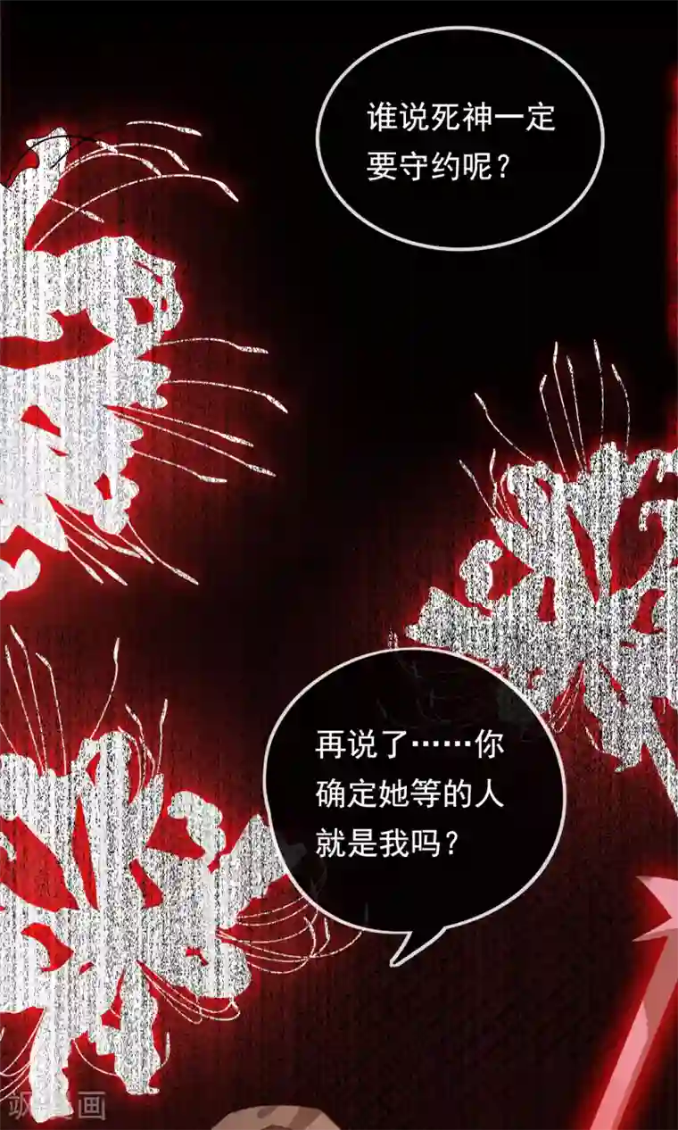 我的猫仙大人第24话 好久不见，猫大人