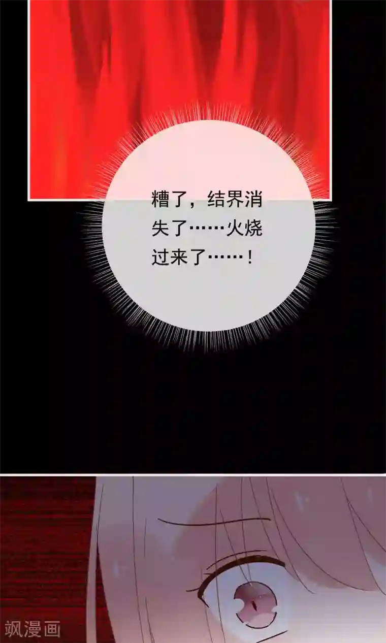 我的猫仙大人第24话 好久不见，猫大人