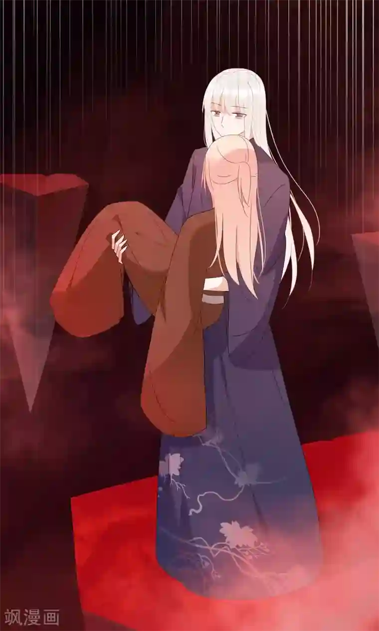 我的猫仙大人第24话 好久不见，猫大人