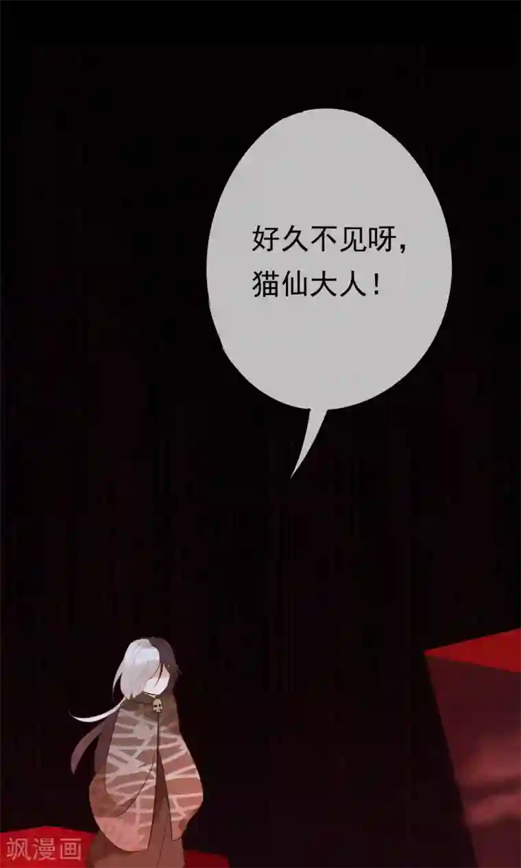 我的猫仙大人第24话 好久不见，猫大人