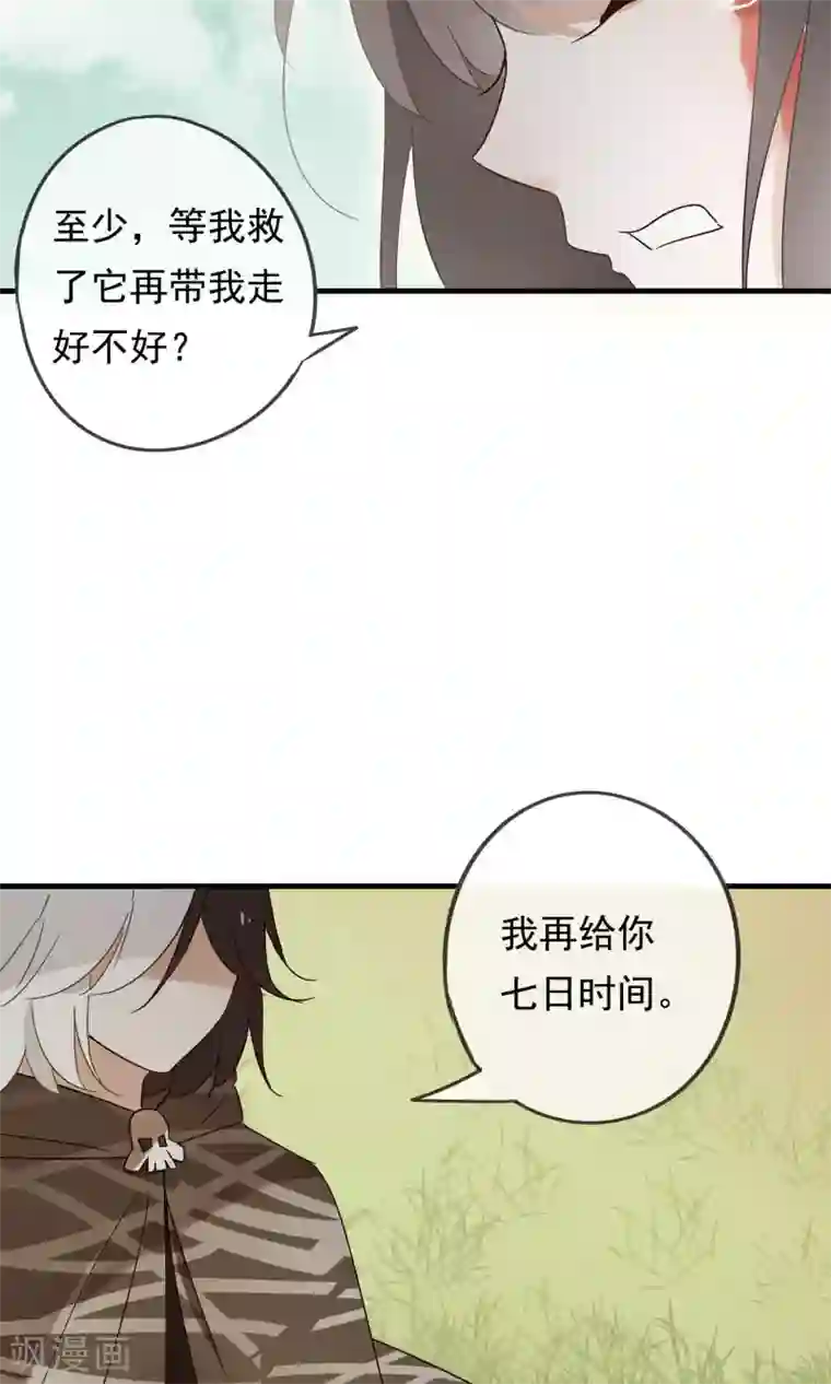 我的猫仙大人第24话 好久不见，猫大人
