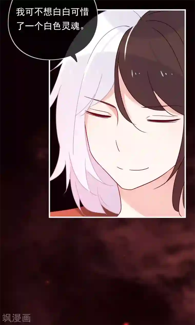 我的猫仙大人第25话 她是我的，你不准碰