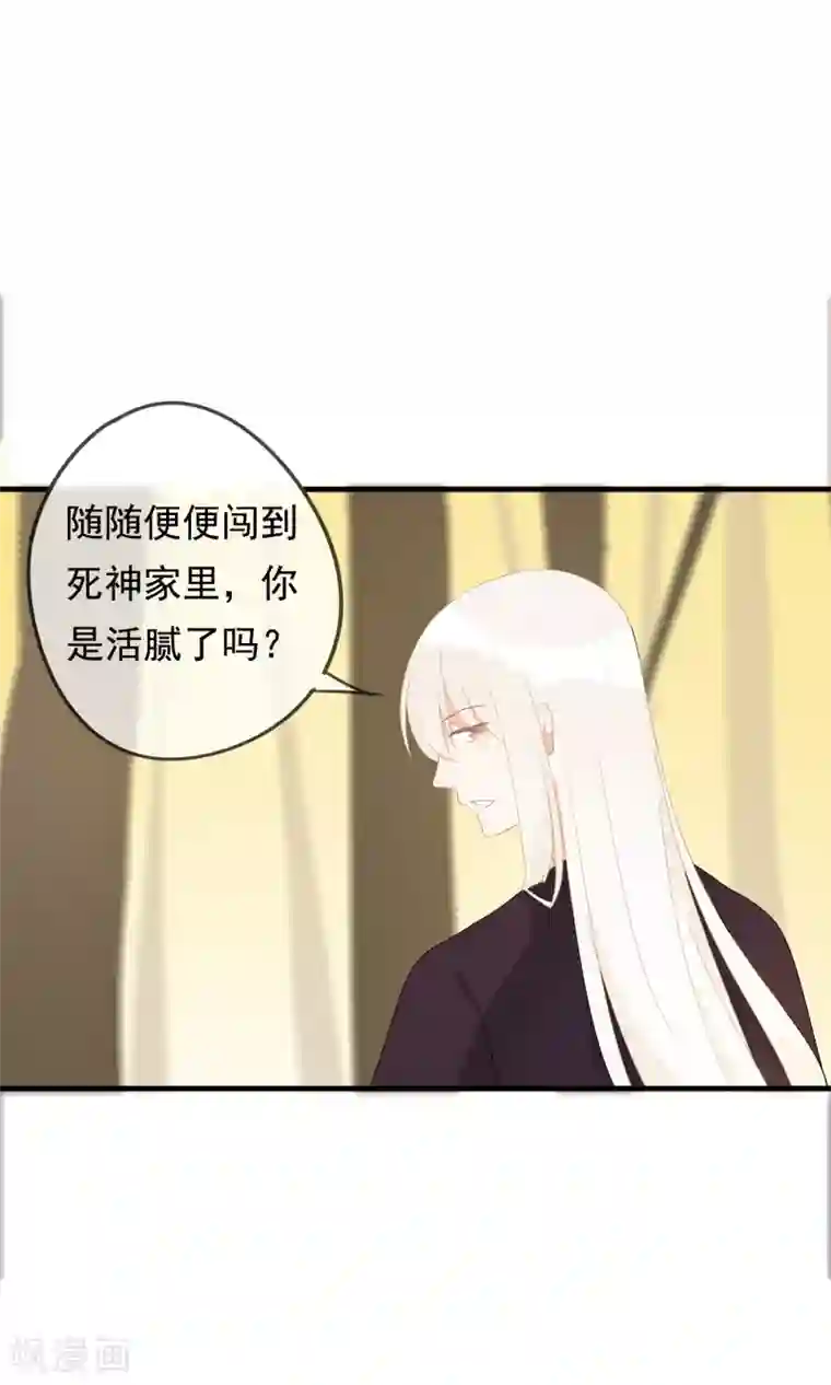 我的猫仙大人第26话 你的小命是我的