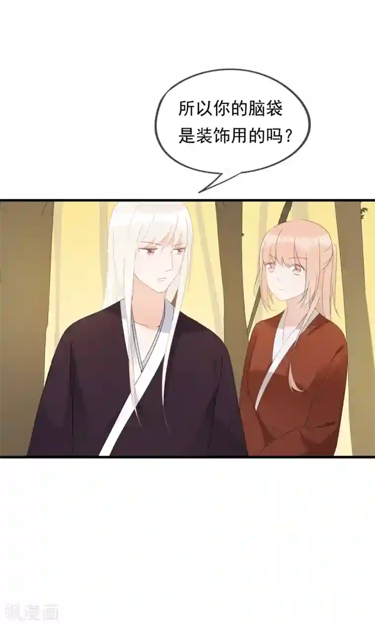 我的猫仙大人第26话 你的小命是我的