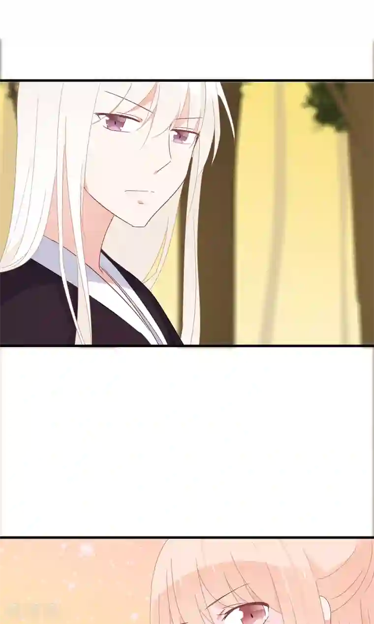 我的猫仙大人第26话 你的小命是我的