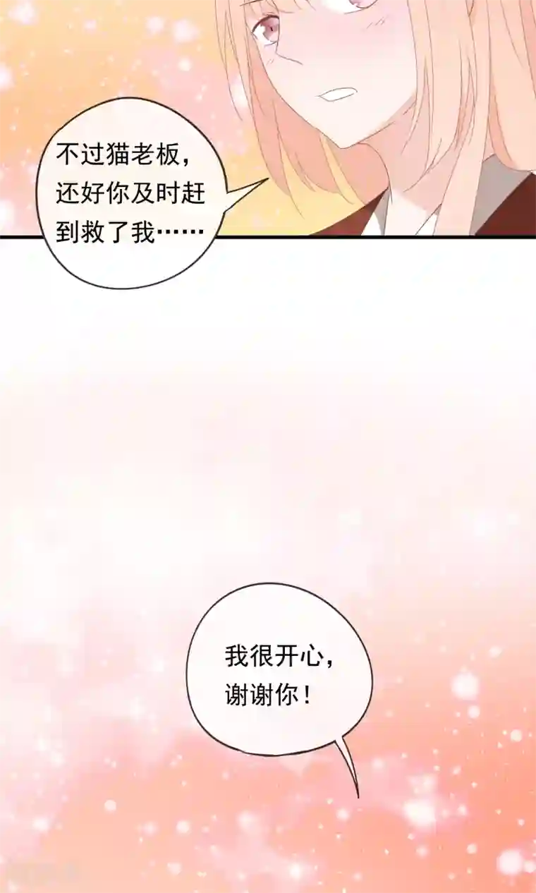 我的猫仙大人第26话 你的小命是我的