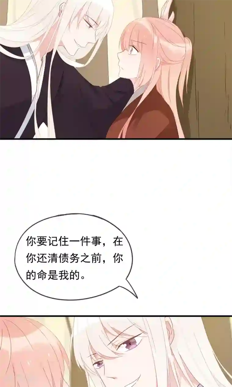 我的猫仙大人第26话 你的小命是我的