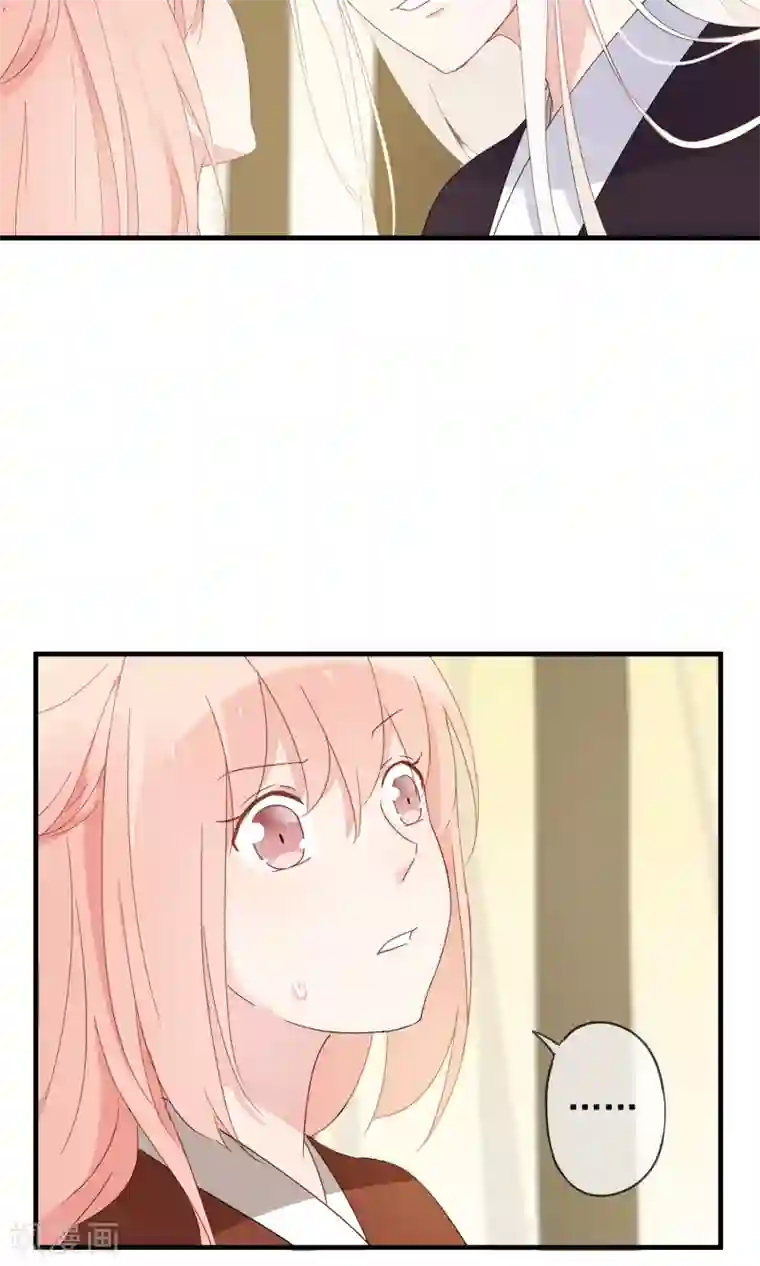 我的猫仙大人第26话 你的小命是我的