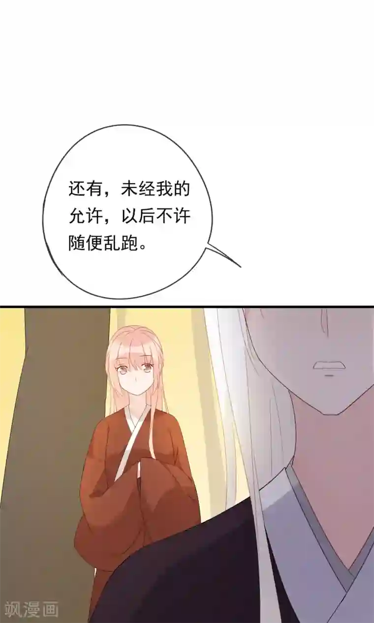 我的猫仙大人第26话 你的小命是我的