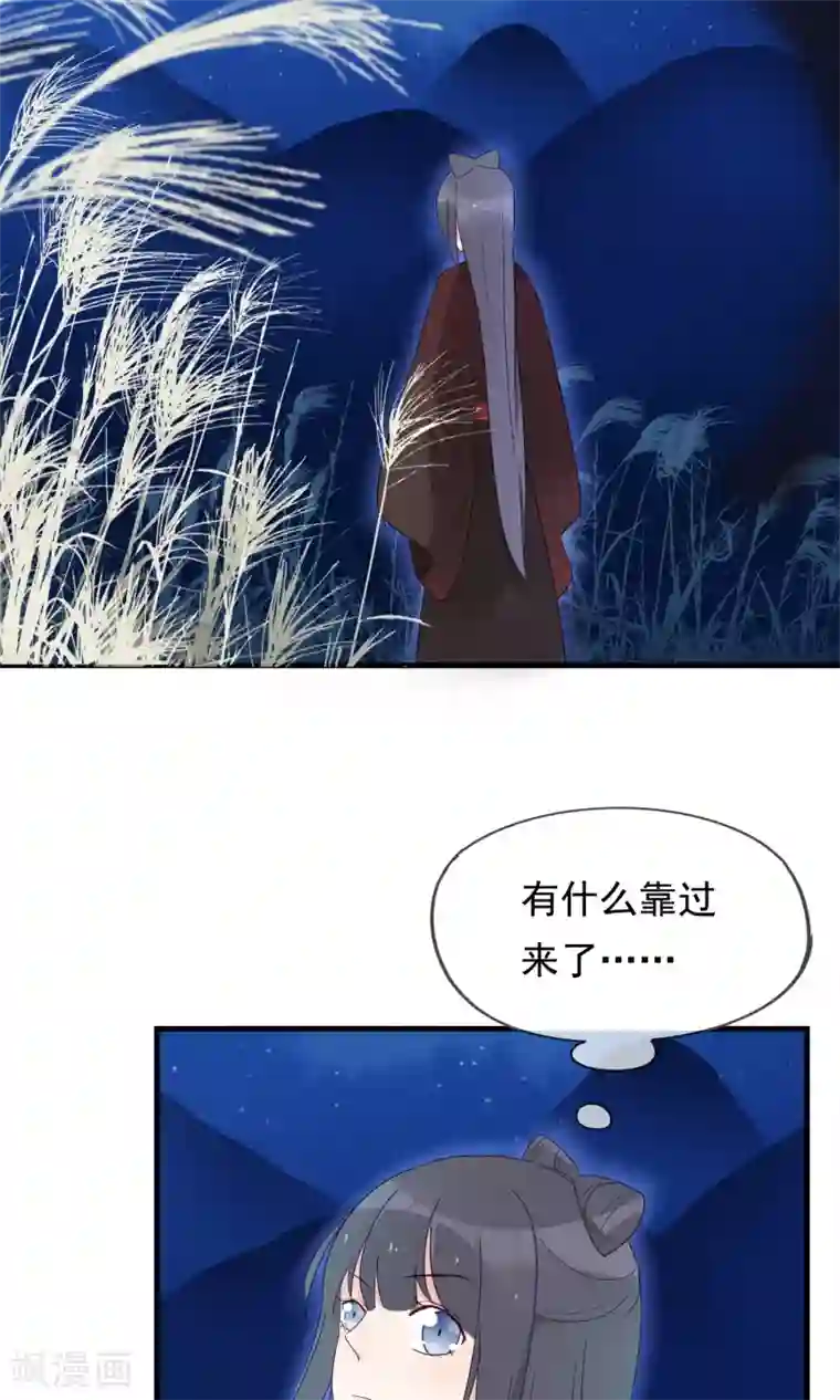 我的猫仙大人第26话 你的小命是我的