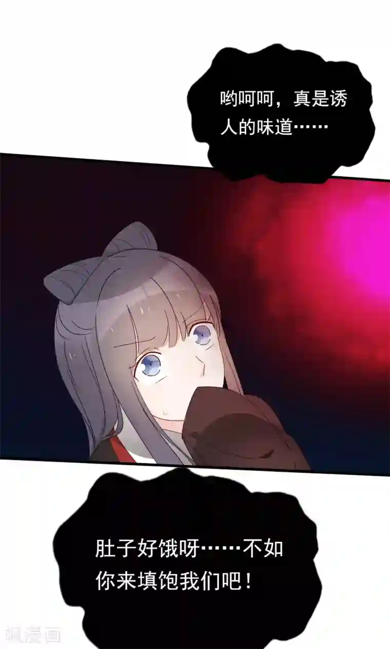 我的猫仙大人第26话 你的小命是我的