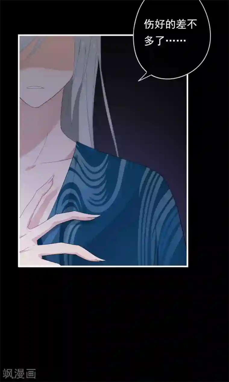 我的猫仙大人第26话 你的小命是我的