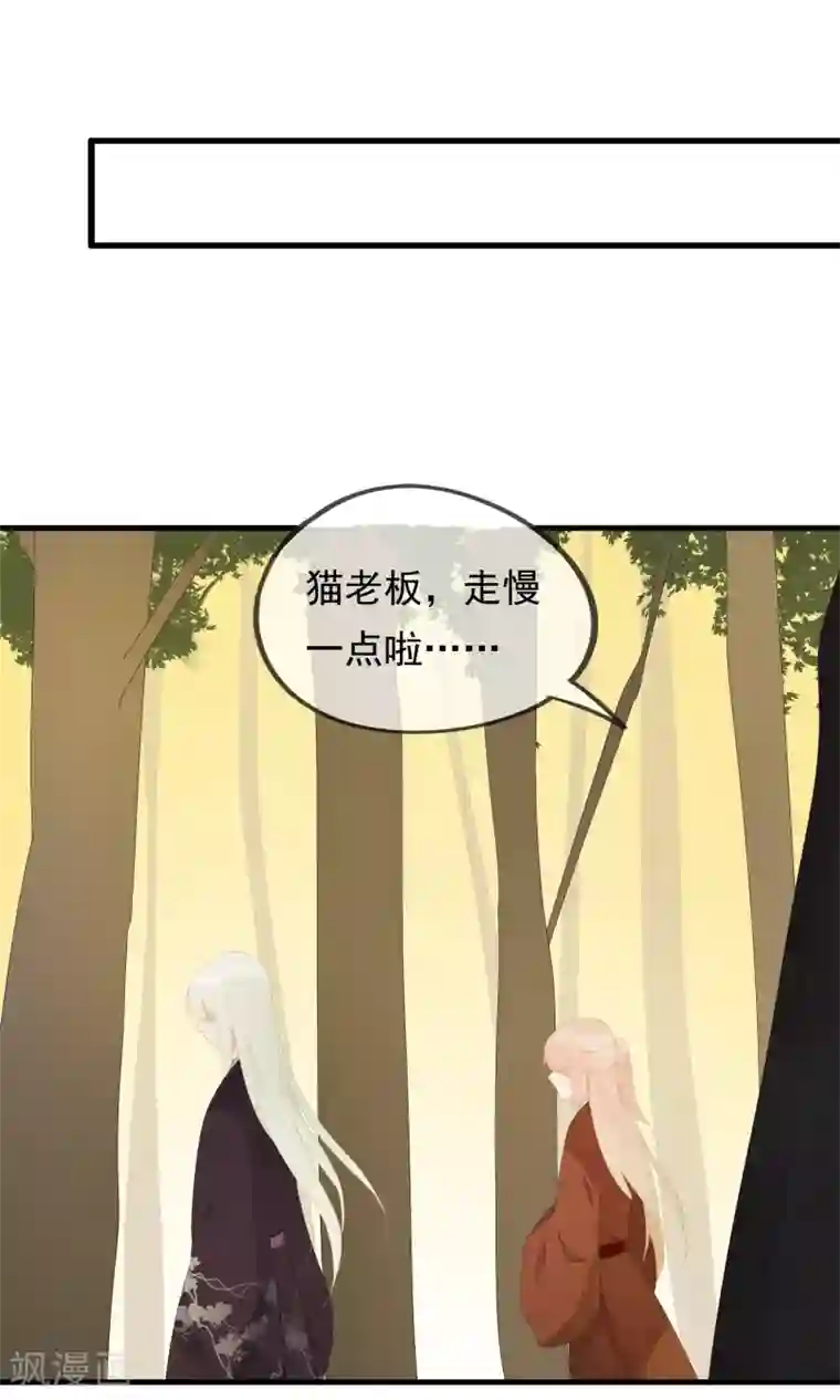 我的猫仙大人第26话 你的小命是我的