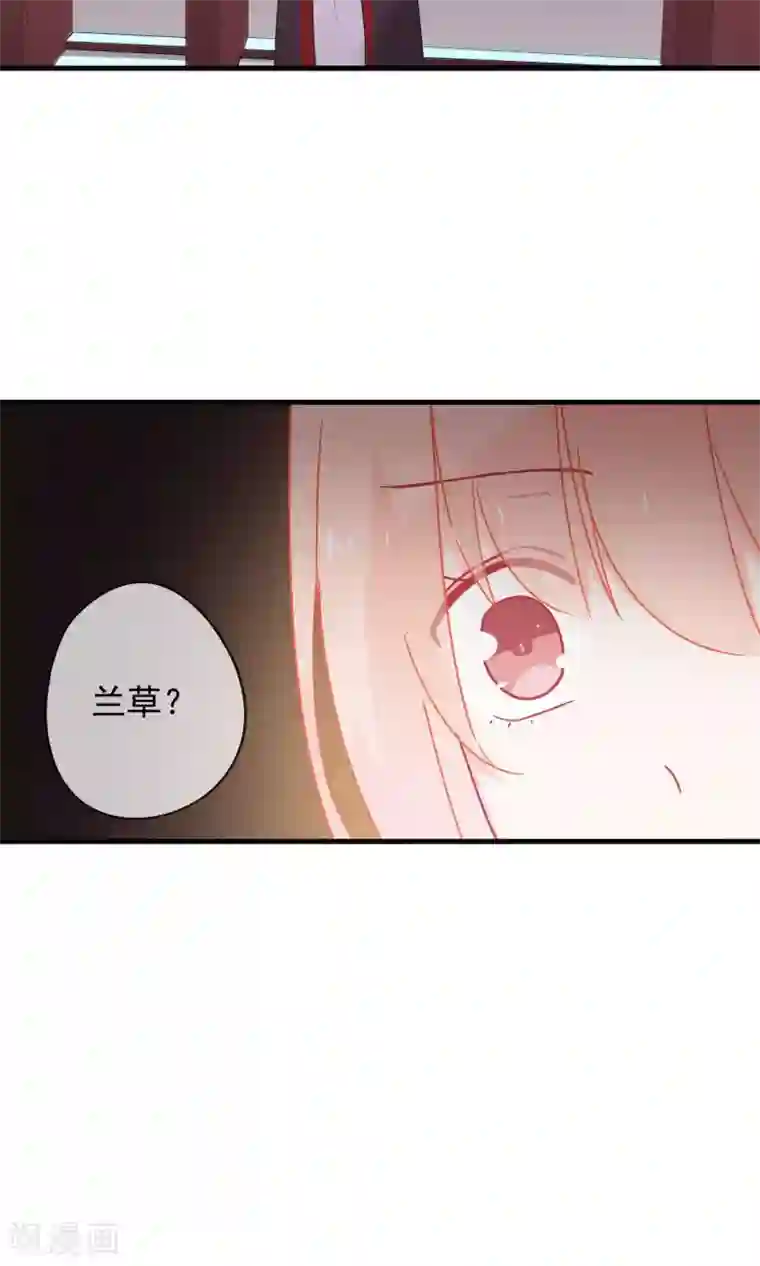 我的猫仙大人第27话 回忆中的那个人