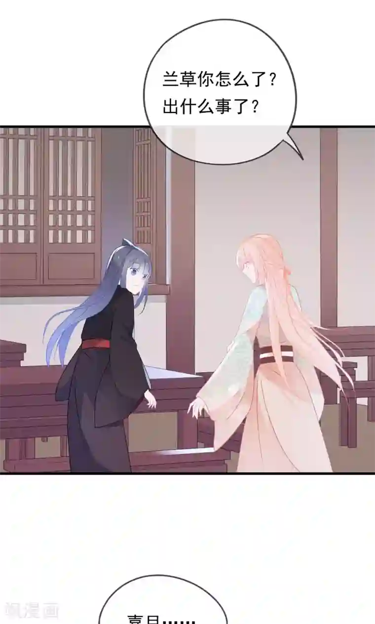 我的猫仙大人第27话 回忆中的那个人