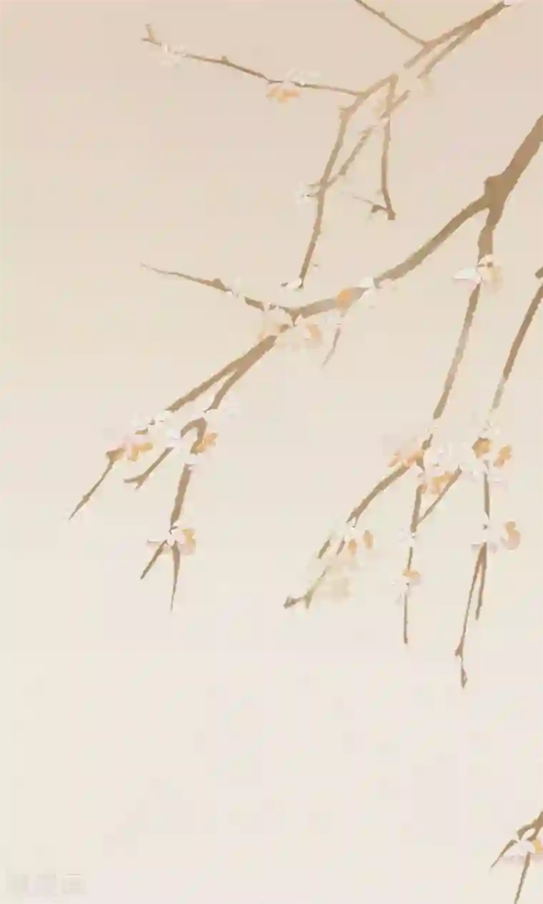 我的猫仙大人第27话 回忆中的那个人