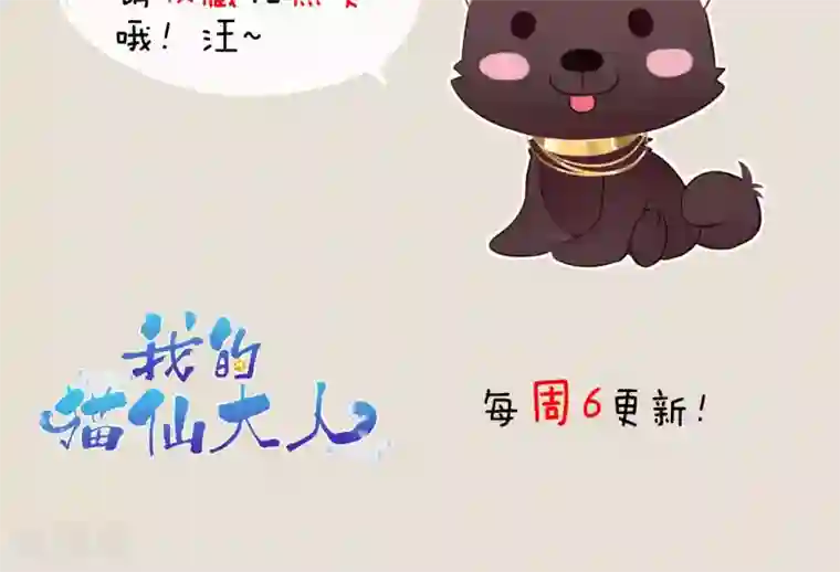 我的猫仙大人第27话 回忆中的那个人