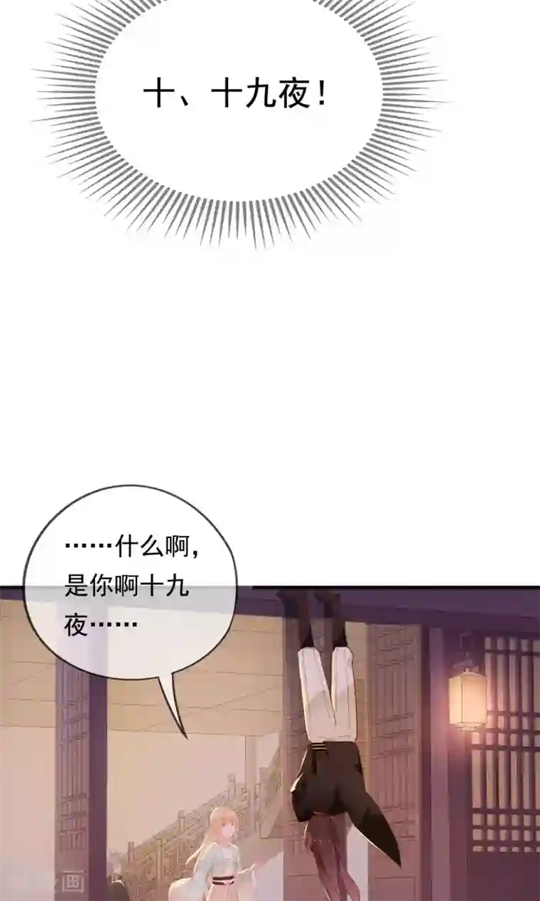 我的猫仙大人第28话 即将消失的我