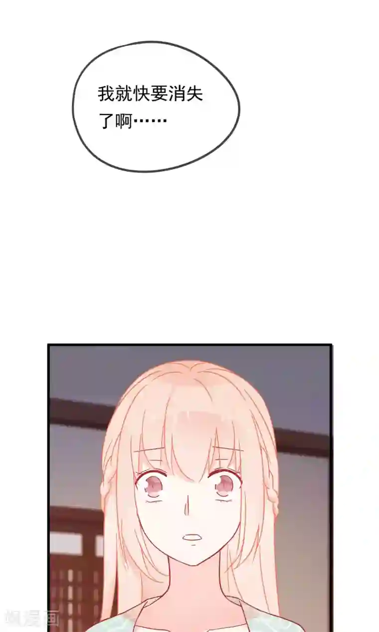 我的猫仙大人第28话 即将消失的我