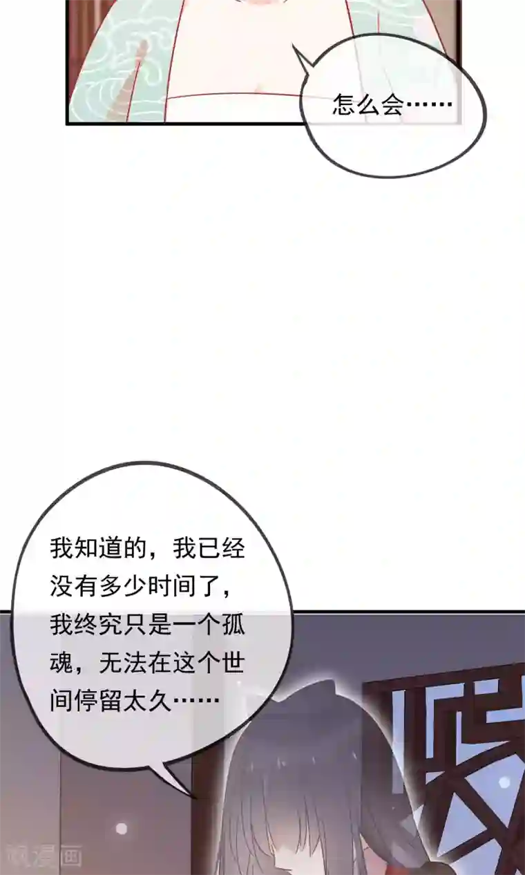 我的猫仙大人第28话 即将消失的我