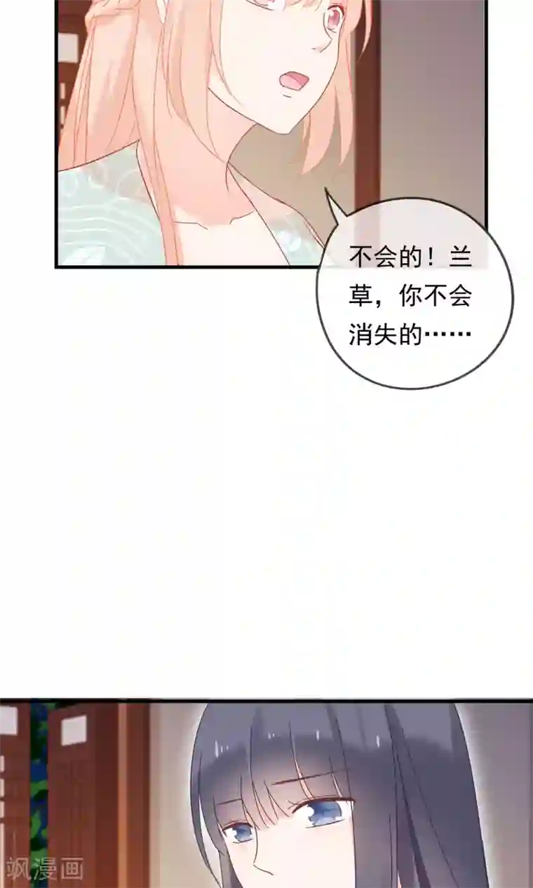 我的猫仙大人第28话 即将消失的我